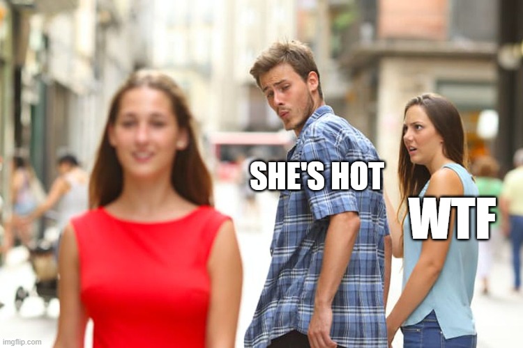 Meme no.2 | SHE'S HOT; WTF | image tagged in memes,distracted boyfriend | made w/ Imgflip meme maker