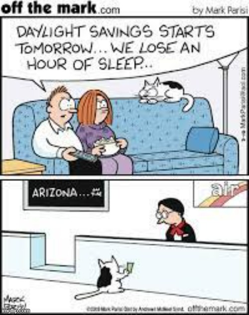 image tagged in memes,comics,cats,daylight savings time,sleepy cat,arizona | made w/ Imgflip meme maker