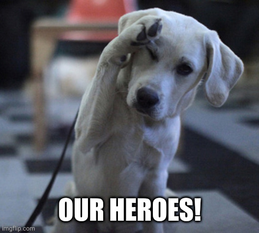Dog Saluting | OUR HEROES! | image tagged in dog saluting | made w/ Imgflip meme maker