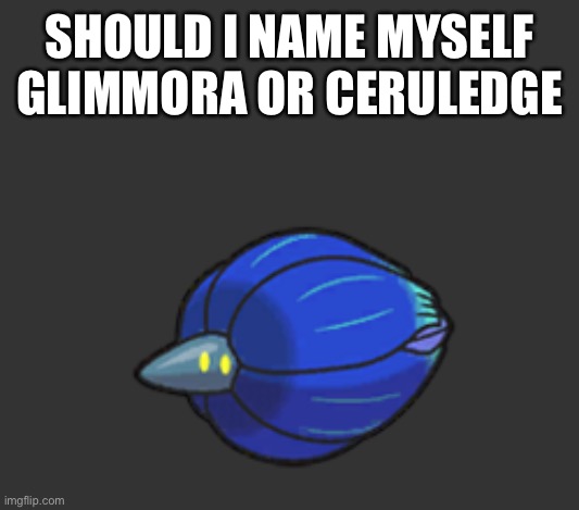 SHOULD I NAME MYSELF GLIMMORA OR CERULEDGE | made w/ Imgflip meme maker