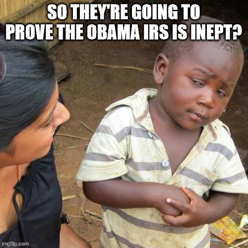 Third World Skeptical Kid Meme | SO THEY'RE GOING TO PROVE THE OBAMA IRS IS INEPT? | image tagged in memes,third world skeptical kid | made w/ Imgflip meme maker