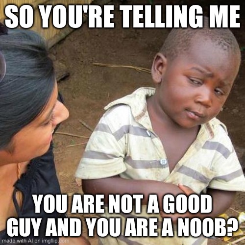 Third World Skeptical Kid | SO YOU'RE TELLING ME; YOU ARE NOT A GOOD GUY AND YOU ARE A NOOB? | image tagged in memes | made w/ Imgflip meme maker