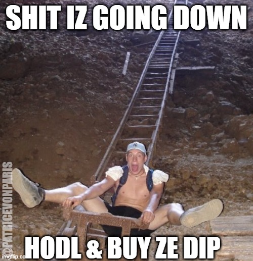HODL & BUY ZE DIP | SHIT IZ GOING DOWN; @PATRICEVONPARIS; HODL & BUY ZE DIP | image tagged in hodl,dip,going down,down | made w/ Imgflip meme maker