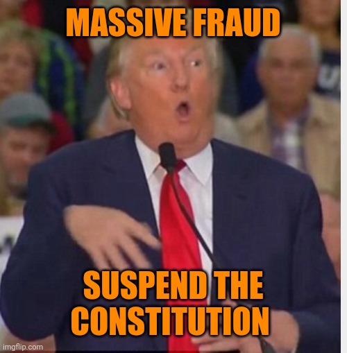 Thank god Donald and Elon are looking out for us! | MASSIVE FRAUD; SUSPEND THE CONSTITUTION | image tagged in donald trump tho | made w/ Imgflip meme maker