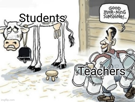 School in a nutshell | Students; Teachers | image tagged in good morning sunshine cow | made w/ Imgflip meme maker