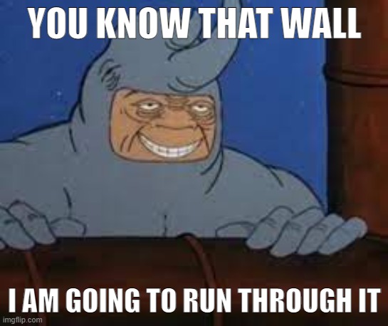 rino breaking walls | YOU KNOW THAT WALL; I AM GOING TO RUN THROUGH IT | image tagged in meme,rhino | made w/ Imgflip meme maker