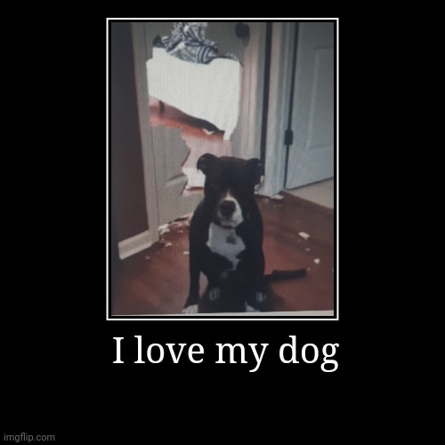 I love my dog ❤❤❤❤ | image tagged in funny,demotivationals,dog,random | made w/ Imgflip demotivational maker