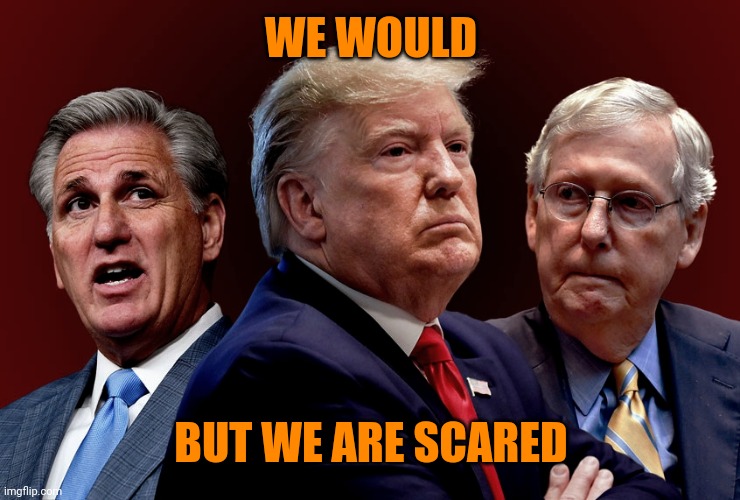 McCarthy, Trump, McConnell Evil, Bad for America | WE WOULD BUT WE ARE SCARED | image tagged in mccarthy trump mcconnell evil bad for america | made w/ Imgflip meme maker