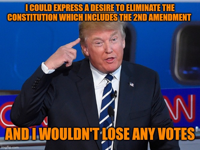 Donald Trump Roll Safe | I COULD EXPRESS A DESIRE TO ELIMINATE THE CONSTITUTION WHICH INCLUDES THE 2ND AMENDMENT AND I WOULDN'T LOSE ANY VOTES | image tagged in donald trump roll safe | made w/ Imgflip meme maker