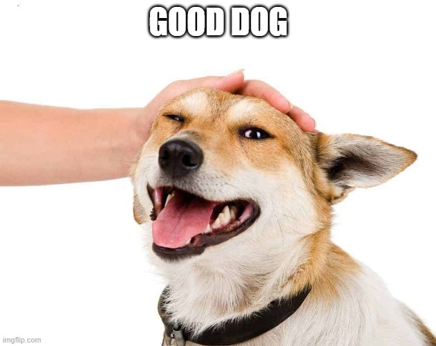 Petting a Dog | GOOD DOG | image tagged in petting a dog | made w/ Imgflip meme maker