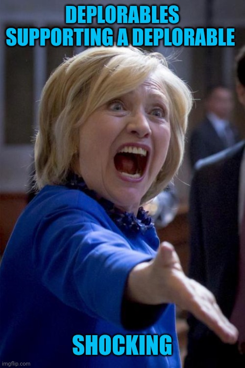 WTF Hillary | DEPLORABLES SUPPORTING A DEPLORABLE SHOCKING | image tagged in wtf hillary | made w/ Imgflip meme maker