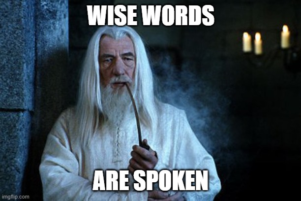 Wise words are spoken  | WISE WORDS ARE SPOKEN | image tagged in wise words are spoken | made w/ Imgflip meme maker