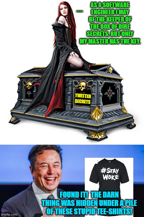 Now we know the behind the scenes details. | _; AS A SOFTWARE ENGINEER I MAY BE THE KEEPER OF THE BOX OF DIRE SECRETS, BUT ONLY MY MASTER HAS THE KEY. TWITTER
SECRETS; FOUND IT!  THE DARN THING WAS HIDDEN UNDER A PILE OF THESE STUPID TEE-SHIRTS! | image tagged in dire secrets | made w/ Imgflip meme maker