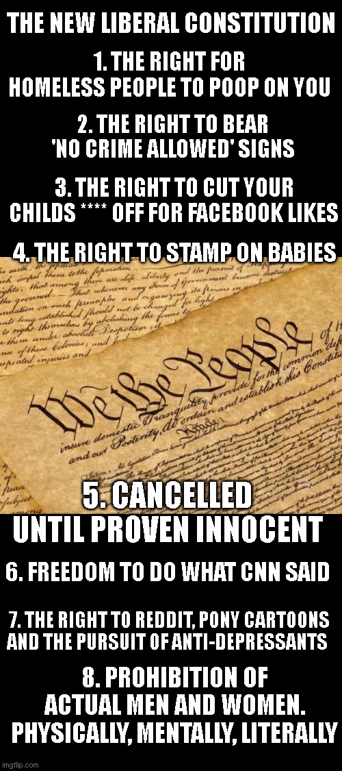 Constitution | THE NEW LIBERAL CONSTITUTION; 1. THE RIGHT FOR HOMELESS PEOPLE TO POOP ON YOU; 2. THE RIGHT TO BEAR 'NO CRIME ALLOWED' SIGNS; 3. THE RIGHT TO CUT YOUR CHILDS **** OFF FOR FACEBOOK LIKES; 4. THE RIGHT TO STAMP ON BABIES; 5. CANCELLED UNTIL PROVEN INNOCENT; 6. FREEDOM TO DO WHAT CNN SAID; 7. THE RIGHT TO REDDIT, PONY CARTOONS AND THE PURSUIT OF ANTI-DEPRESSANTS; 8. PROHIBITION OF ACTUAL MEN AND WOMEN. PHYSICALLY, MENTALLY, LITERALLY | image tagged in constitution | made w/ Imgflip meme maker