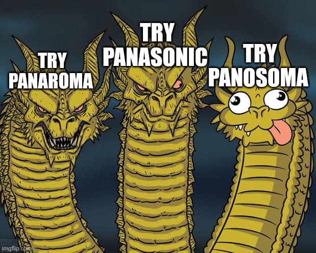 Sleeping sickness | TRY PANASONIC; TRY PANOSOMA; TRY PANAROMA | image tagged in biology,disease | made w/ Imgflip meme maker