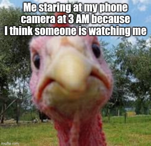 turkey | Me staring at my phone camera at 3 AM because I think someone is watching me | image tagged in turkey | made w/ Imgflip meme maker
