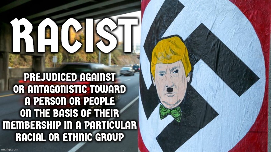 RACIST | RACIST; PREJUDICED AGAINST OR ANTAGONISTIC TOWARD A PERSON OR PEOPLE ON THE BASIS OF THEIR MEMBERSHIP IN A PARTICULAR RACIAL OR ETHNIC GROUP | image tagged in racist,prejudiced,antagonistic,ethnic,hate,negative | made w/ Imgflip meme maker