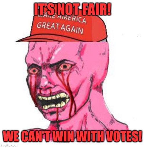 Triggered MAGAt | IT’S NOT FAIR! WE CAN’T WIN WITH VOTES! | image tagged in triggered magat | made w/ Imgflip meme maker