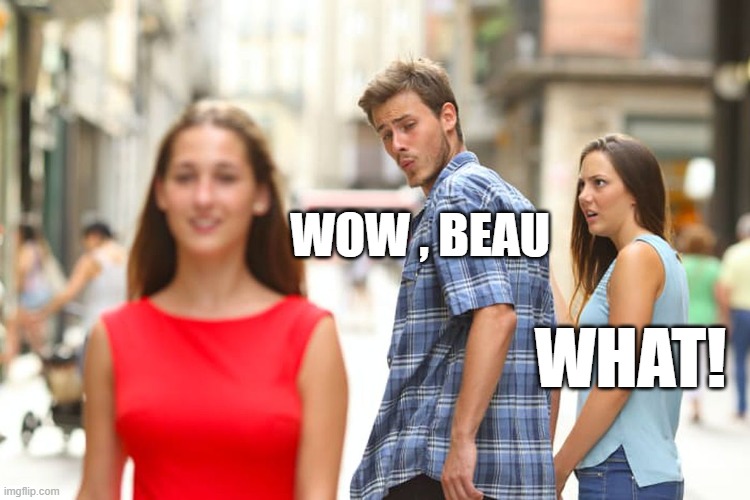 nature calls, distracted | WOW , BEAU; WHAT! | image tagged in memes,distracted boyfriend | made w/ Imgflip meme maker