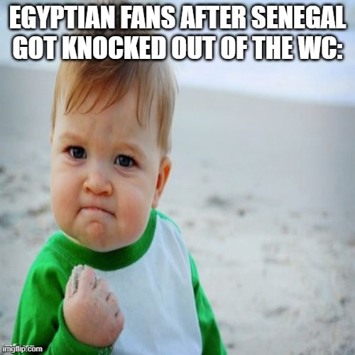 : ) | EGYPTIAN FANS AFTER SENEGAL GOT KNOCKED OUT OF THE WC: | image tagged in success kid | made w/ Imgflip meme maker