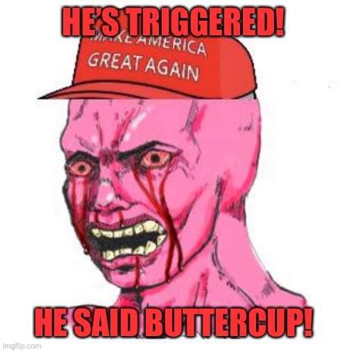Triggered MAGAt | HE’S TRIGGERED! HE SAID BUTTERCUP! | image tagged in triggered magat | made w/ Imgflip meme maker