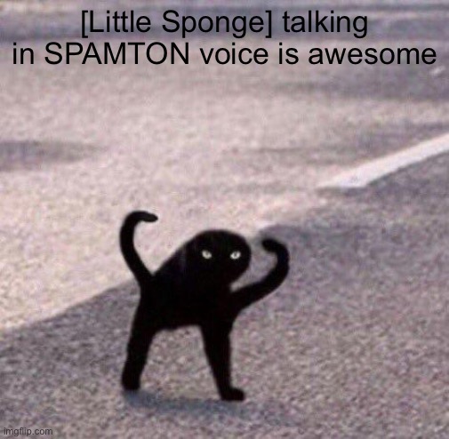 Cursed cat temp | [Little Sponge] talking in SPAMTON voice is awesome | image tagged in cursed cat temp | made w/ Imgflip meme maker