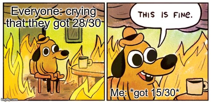 My life | Everyone: crying that they got 28/30; Me: *got 15/30* | image tagged in memes,this is fine | made w/ Imgflip meme maker