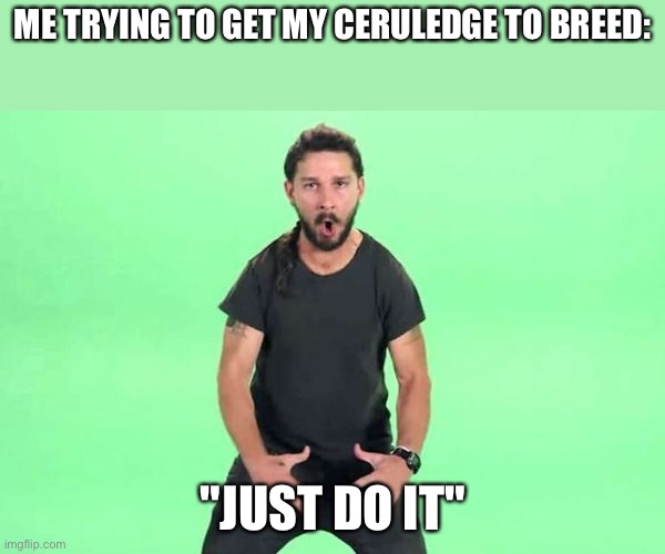 Just do it | ME TRYING TO GET MY CERULEDGE TO BREED:; "JUST DO IT" | image tagged in just do it | made w/ Imgflip meme maker