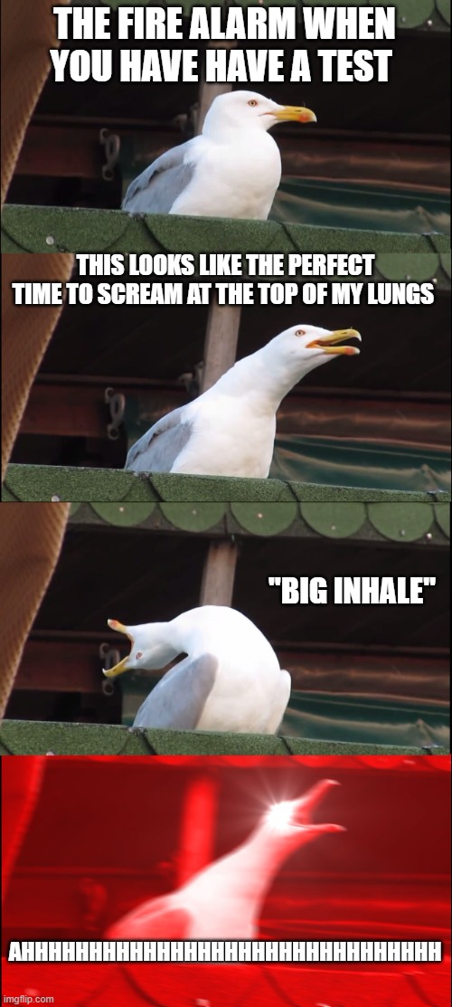 Inhaling Seagull | THE FIRE ALARM WHEN YOU HAVE HAVE A TEST; THIS LOOKS LIKE THE PERFECT TIME TO SCREAM AT THE TOP OF MY LUNGS; "BIG INHALE"; AHHHHHHHHHHHHHHHHHHHHHHHHHHHHHHH | image tagged in memes,inhaling seagull | made w/ Imgflip meme maker