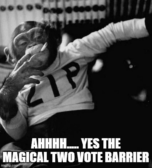 monkey smoke zip | AHHHH..... YES THE MAGICAL TWO VOTE BARRIER | image tagged in monkey smoke zip | made w/ Imgflip meme maker