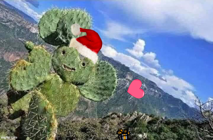 Happy cactus | image tagged in happy cactus | made w/ Imgflip meme maker
