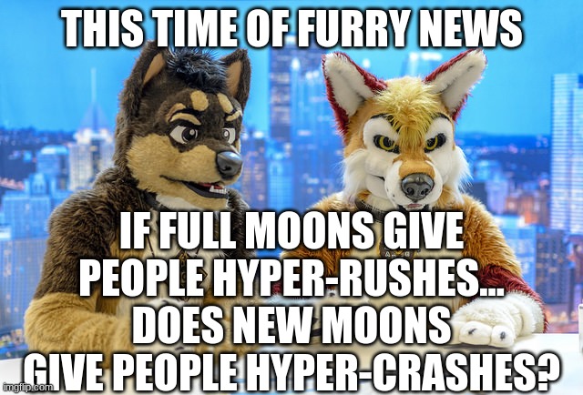 New Moons Cause Depression | THIS TIME OF FURRY NEWS; IF FULL MOONS GIVE PEOPLE HYPER-RUSHES... DOES NEW MOONS GIVE PEOPLE HYPER-CRASHES? | image tagged in furry news | made w/ Imgflip meme maker