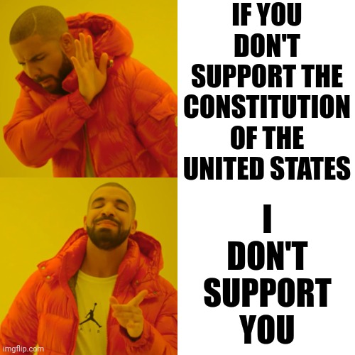 I Support The Constitution And Democracy | IF YOU DON'T SUPPORT THE CONSTITUTION OF THE UNITED STATES; I DON'T SUPPORT YOU | image tagged in memes,drake hotline bling,the constitution,bill of rights,i love democracy,lock up trumpublican terrorists | made w/ Imgflip meme maker