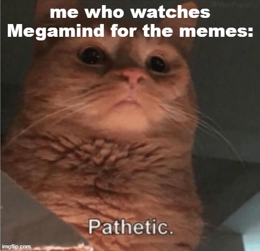 Pathetic Cat | me who watches Megamind for the memes: | image tagged in pathetic cat | made w/ Imgflip meme maker
