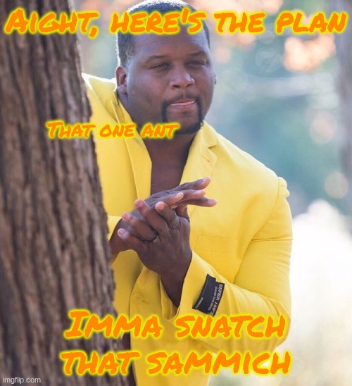The ants really love sammiches. | Aight, here's the plan; That one ant; Imma snatch that sammich | image tagged in black guy hiding behind tree | made w/ Imgflip meme maker