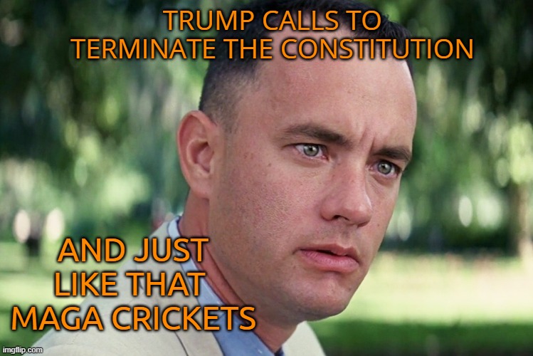 MAGA SOLUTION? NO CONSTITUTION | TRUMP CALLS TO TERMINATE THE CONSTITUTION; AND JUST LIKE THAT 
MAGA CRICKETS | image tagged in and just like that,donald trump,the constitution,political meme,maga | made w/ Imgflip meme maker