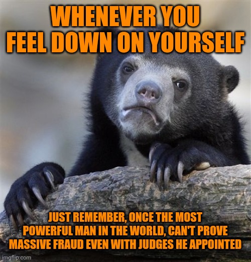 Confession Bear | WHENEVER YOU FEEL DOWN ON YOURSELF; JUST REMEMBER, ONCE THE MOST POWERFUL MAN IN THE WORLD, CAN'T PROVE MASSIVE FRAUD EVEN WITH JUDGES HE APPOINTED | image tagged in memes,confession bear | made w/ Imgflip meme maker