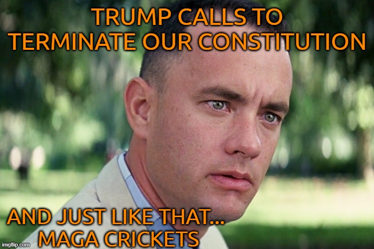 MAGA Constitution Solution | TRUMP CALLS TO TERMINATE OUR CONSTITUTION; AND JUST LIKE THAT...
 MAGA CRICKETS | image tagged in and just like that,donald trump,maga,political memes,the constitution | made w/ Imgflip meme maker