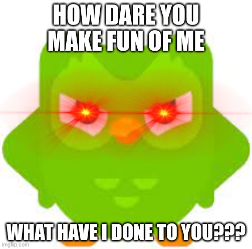 HOW DARE YOU MAKE FUN OF ME WHAT HAVE I DONE TO YOU??? | made w/ Imgflip meme maker