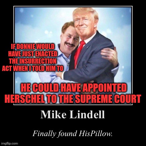 Mike Lindell finally found HisPillow | IF DONNIE WOULD HAVE JUST ENACTED THE INSURRECTION ACT WHEN I TOLD HIM TO HE COULD HAVE APPOINTED HERSCHEL TO THE SUPREME COURT | image tagged in mike lindell finally found hispillow | made w/ Imgflip meme maker