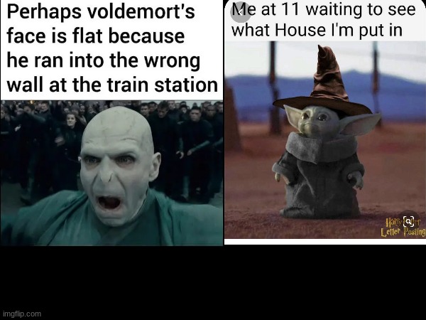 Harry memes | image tagged in harry potter | made w/ Imgflip meme maker