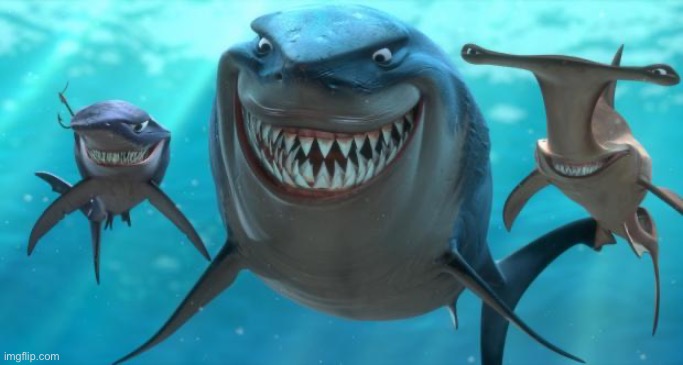 Fish are friends not food | image tagged in fish are friends not food | made w/ Imgflip meme maker