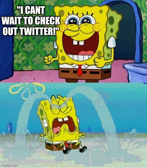true |  "I CANT WAIT TO CHECK OUT TWITTER!" | image tagged in spongebob happy and sad | made w/ Imgflip meme maker