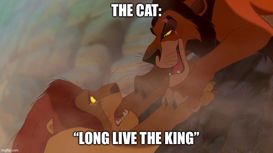 Long Live The King | THE CAT: “LONG LIVE THE KING” | image tagged in long live the king | made w/ Imgflip meme maker