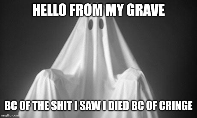 Ghost | HELLO FROM MY GRAVE BC OF THE SHIT I SAW I DIED BC OF CRINGE | image tagged in ghost | made w/ Imgflip meme maker