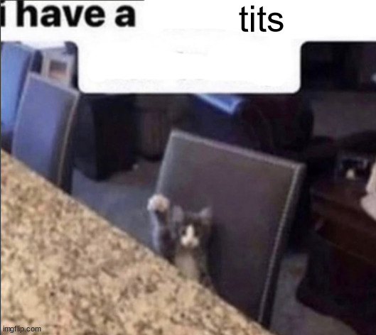 i have a blank | tits | image tagged in i have a blank | made w/ Imgflip meme maker