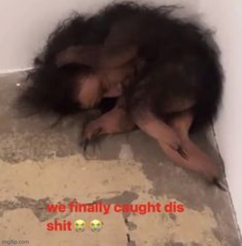 tf is that? | made w/ Imgflip meme maker