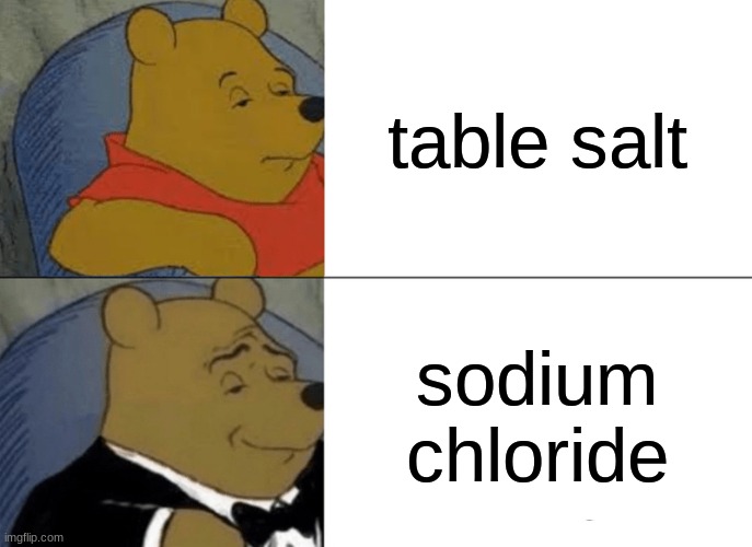 E | table salt; sodium chloride | image tagged in memes,tuxedo winnie the pooh | made w/ Imgflip meme maker