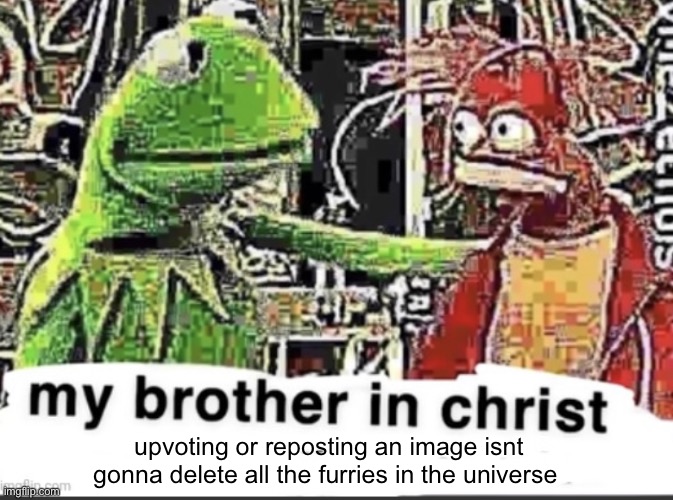 my brother in christ | upvoting or reposting an image isnt gonna delete all the furries in the universe | image tagged in my brother in christ | made w/ Imgflip meme maker