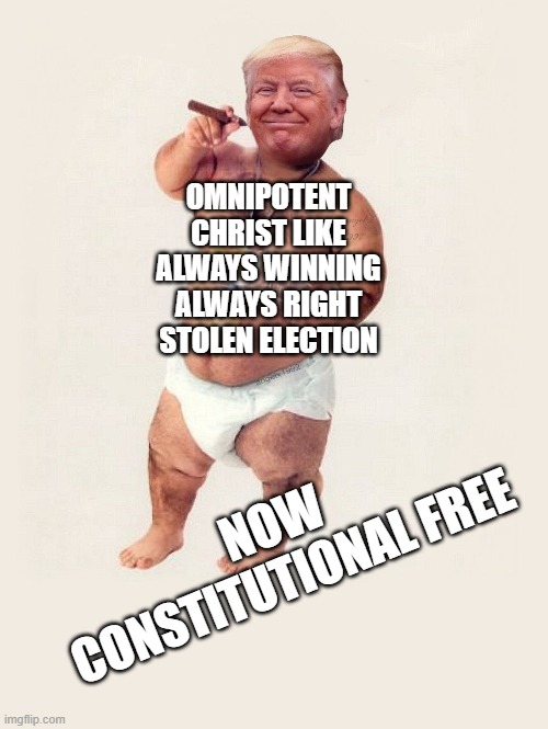 diapered donnie, toddler don, hates the constitution, just make me potus, | OMNIPOTENT
CHRIST LIKE
ALWAYS WINNING
ALWAYS RIGHT
STOLEN ELECTION; NOW CONSTITUTIONAL FREE | image tagged in diaper donny | made w/ Imgflip meme maker